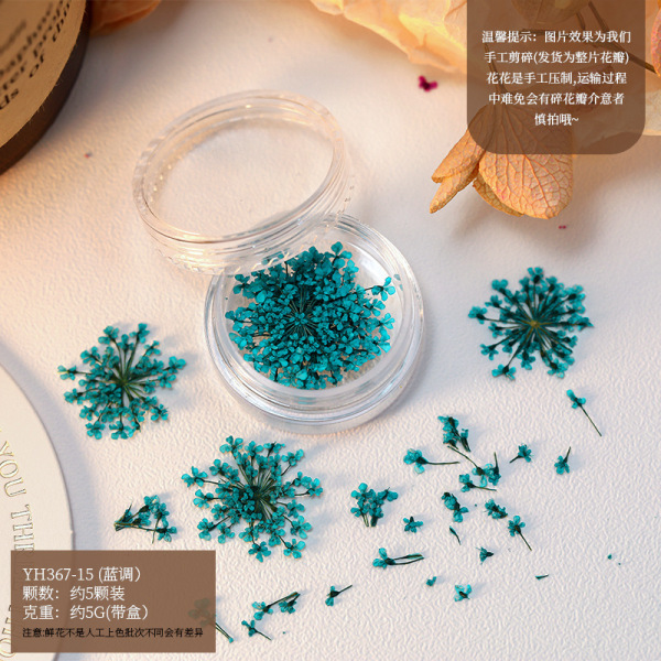 Natural Dry Flower Petals in Mini Jars for DIY Crafts & Epoxy Resin Supplies
